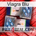 Viagra Blu viagra5